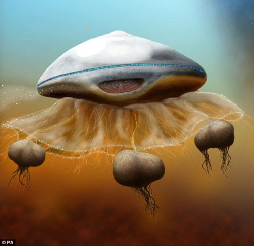 ר�ҳ������˿���ˮĸ����������