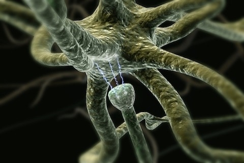 ��̾������ҽѧ3D������ͼ ����ͼƬ