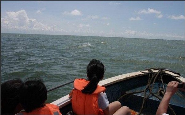 �������������������ؼ� ��������