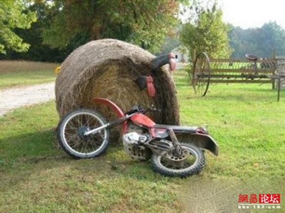 �̵㿴����Լ�е�ţ��ţͼ ��ЦͼƬ