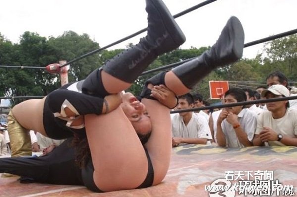 ץ����������Ŀ��Ÿ��˲�� ���˾�ϲ����(��ͼ)