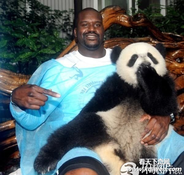 ץ����������Ŀ��Ÿ��˲�� ���˾�ϲ����(��ͼ)