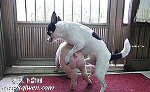 ɵ��������ɫ����ɱ