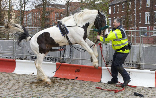 ���ÿ���ͻȻ���𾹵���¶��ǹǿ�����ﾯ(ʵ��������ͼ)