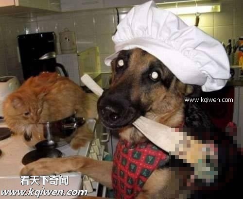 ��Ϊ���ޣ��ҵ�ѹ��Ҳ�ܴ�