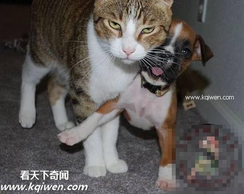 ��Ϊ���ޣ��ҵ�ѹ��Ҳ�ܴ�