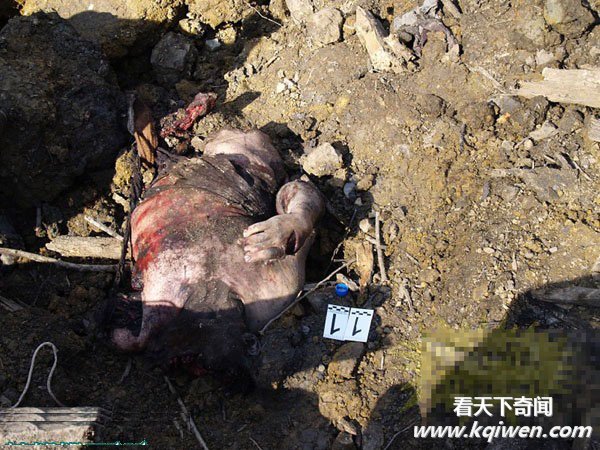 ����Ͷ4�ֵ�ҩը�ٿֲ����ӱ����� ʬ���������(ֱ����ͼ57P)